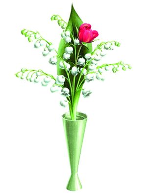 5 BRINS + 1 ROSE EN VASE $$$